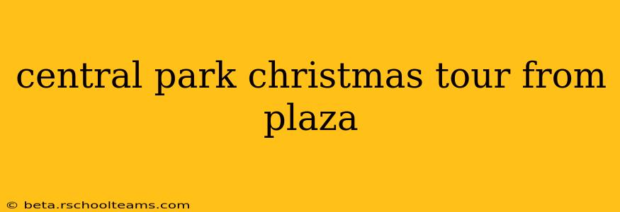 central park christmas tour from plaza
