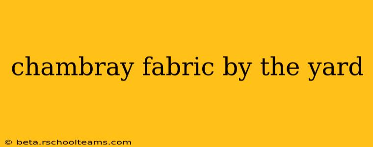 chambray fabric by the yard