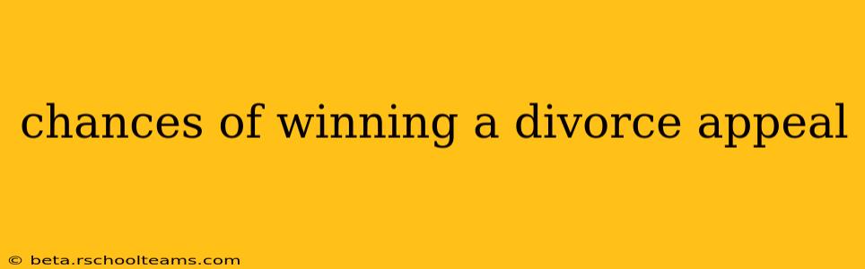chances of winning a divorce appeal