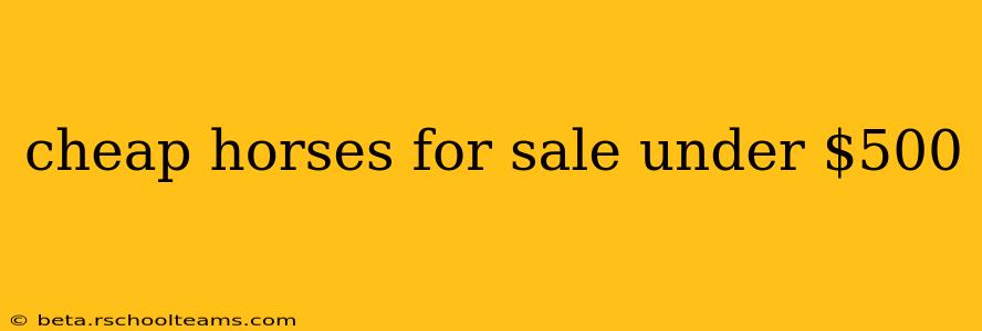 cheap horses for sale under $500
