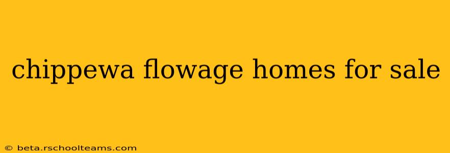 chippewa flowage homes for sale