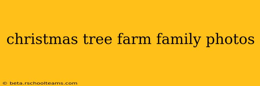 christmas tree farm family photos