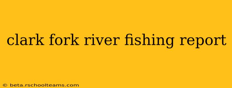 clark fork river fishing report