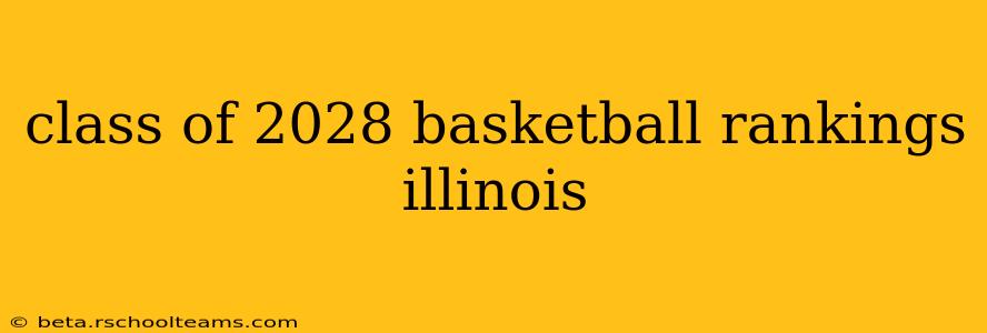 class of 2028 basketball rankings illinois