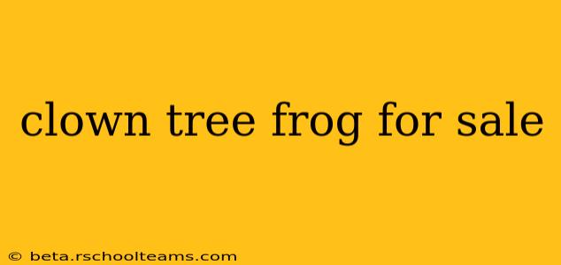 clown tree frog for sale