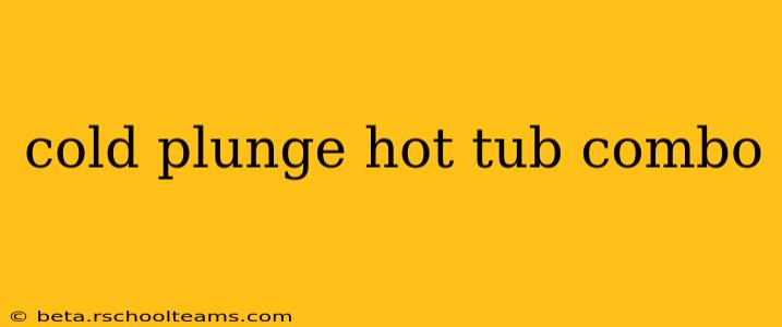 cold plunge hot tub combo