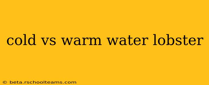 cold vs warm water lobster