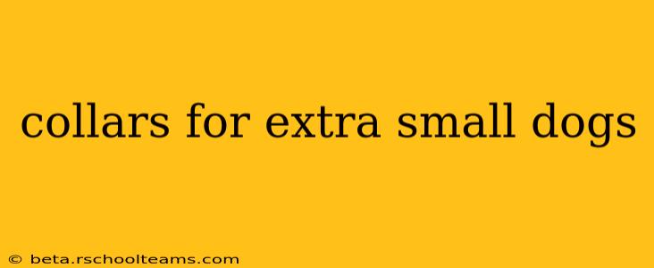 collars for extra small dogs