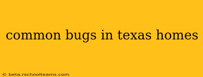common bugs in texas homes