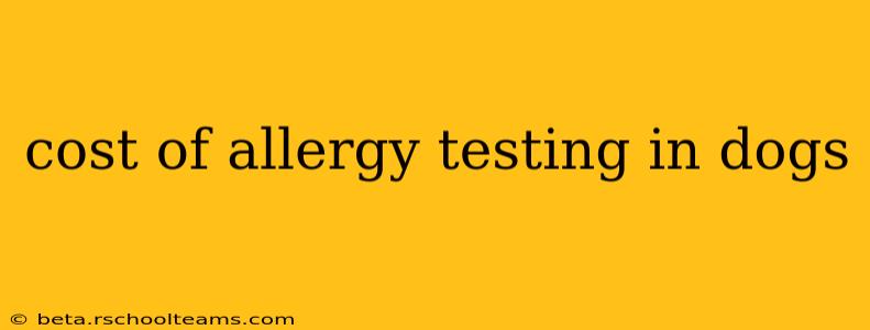 cost of allergy testing in dogs