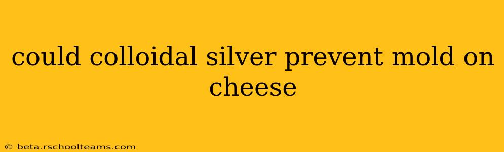 could colloidal silver prevent mold on cheese