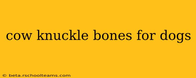 cow knuckle bones for dogs