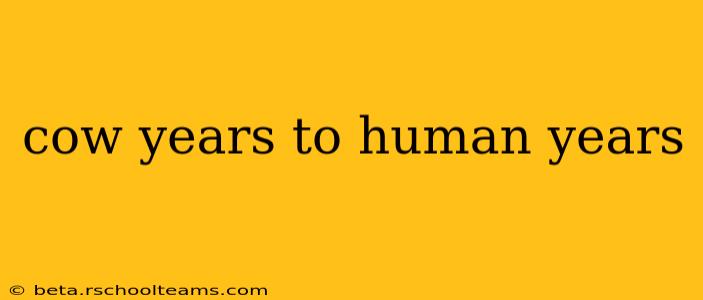 cow years to human years