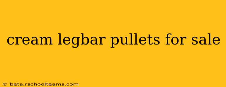 cream legbar pullets for sale