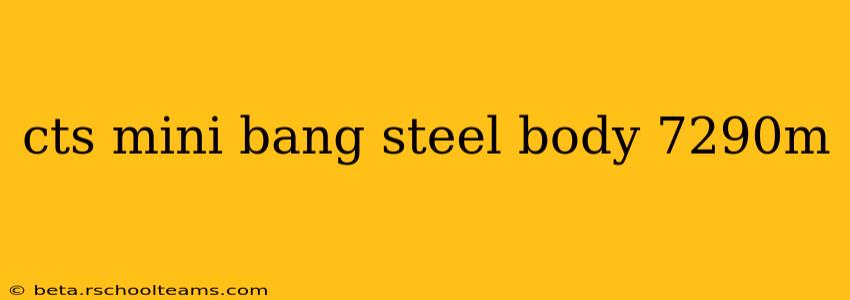 cts mini bang steel body 7290m