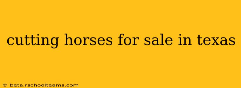 cutting horses for sale in texas