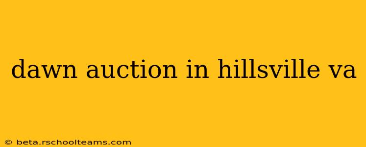 dawn auction in hillsville va