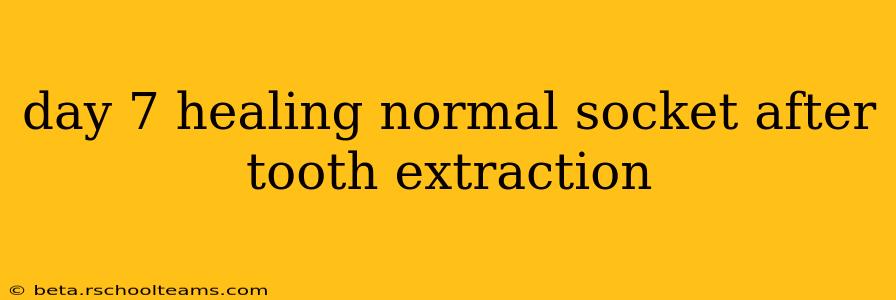 day 7 healing normal socket after tooth extraction