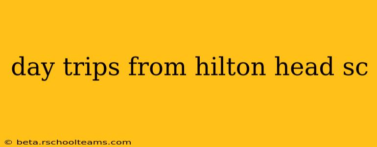 day trips from hilton head sc