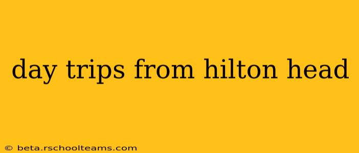 day trips from hilton head