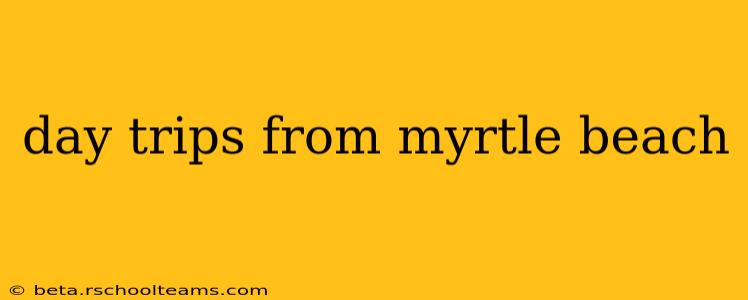 day trips from myrtle beach