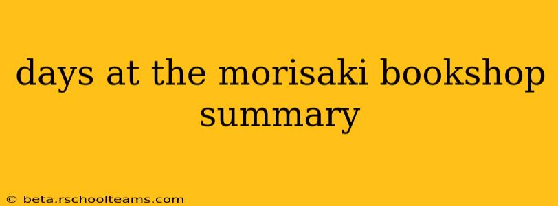 days at the morisaki bookshop summary