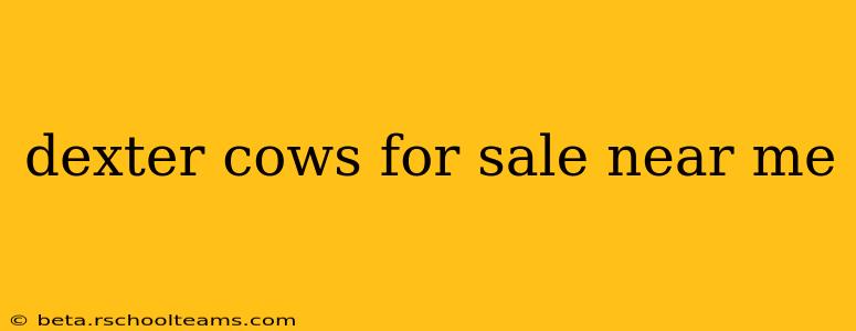 dexter cows for sale near me