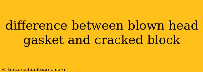 difference between blown head gasket and cracked block