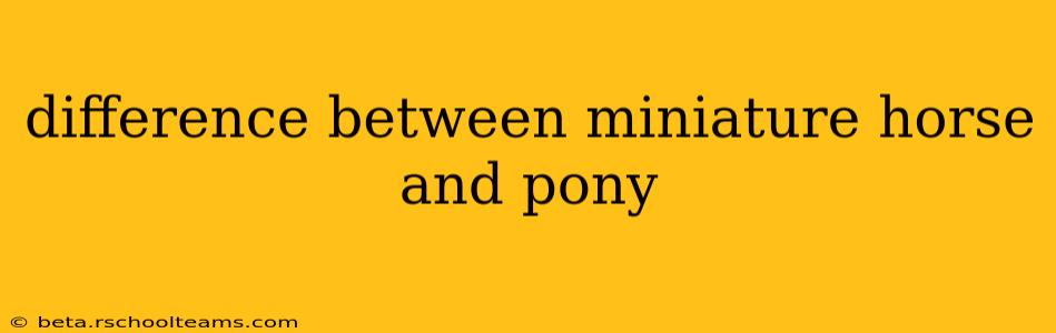 difference between miniature horse and pony