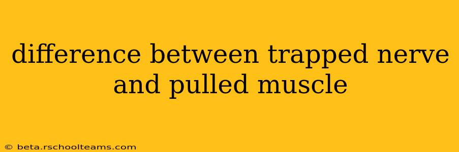 difference between trapped nerve and pulled muscle