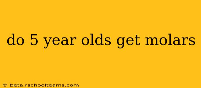 do 5 year olds get molars
