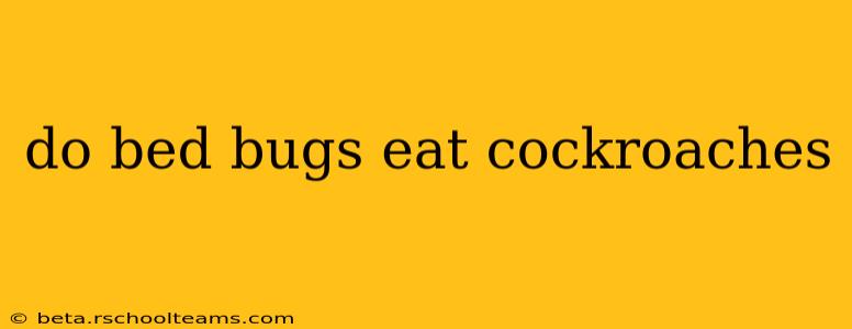 do bed bugs eat cockroaches
