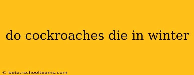 do cockroaches die in winter