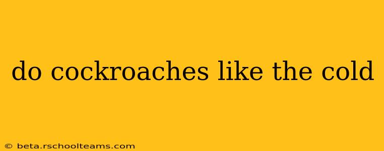 do cockroaches like the cold