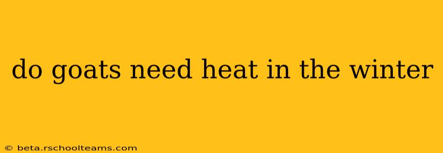 do goats need heat in the winter