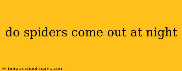 do spiders come out at night