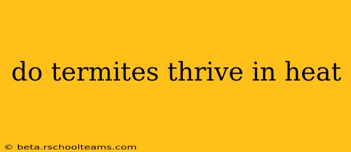 do termites thrive in heat