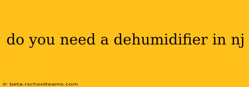 do you need a dehumidifier in nj