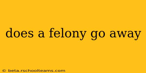 does a felony go away