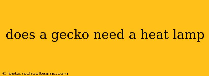 does a gecko need a heat lamp