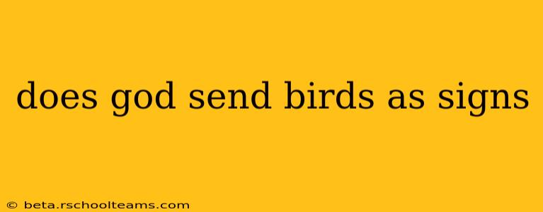 does god send birds as signs