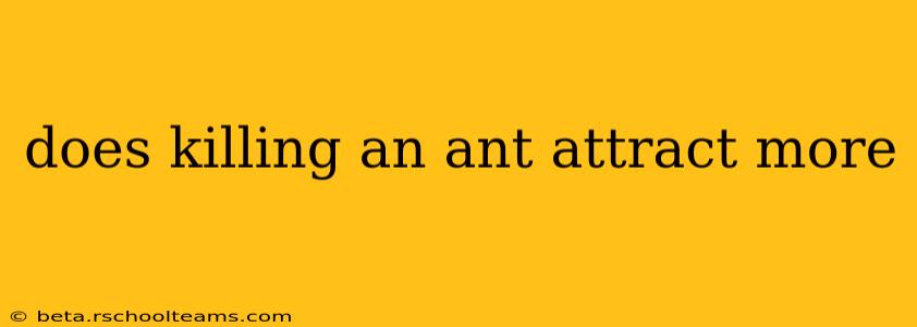 does killing an ant attract more