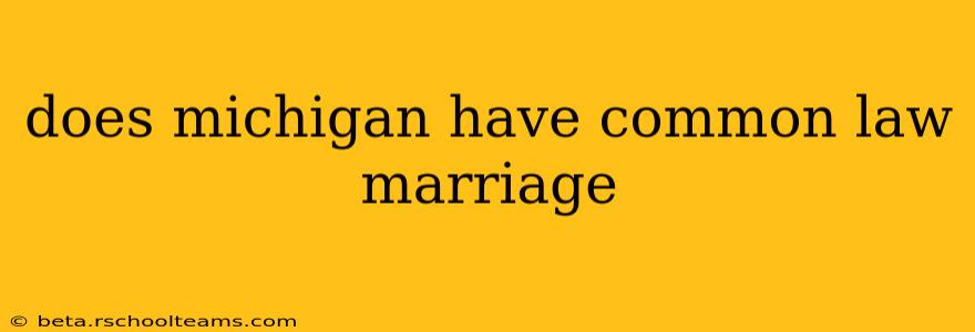 does michigan have common law marriage