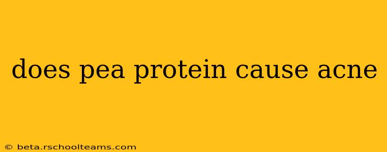 does pea protein cause acne