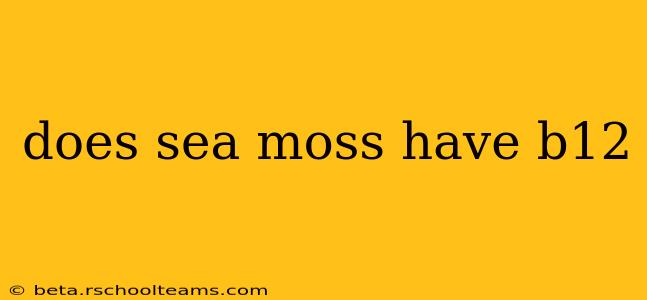 does sea moss have b12