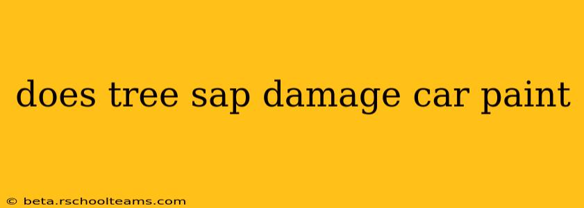 does tree sap damage car paint
