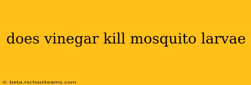 does vinegar kill mosquito larvae