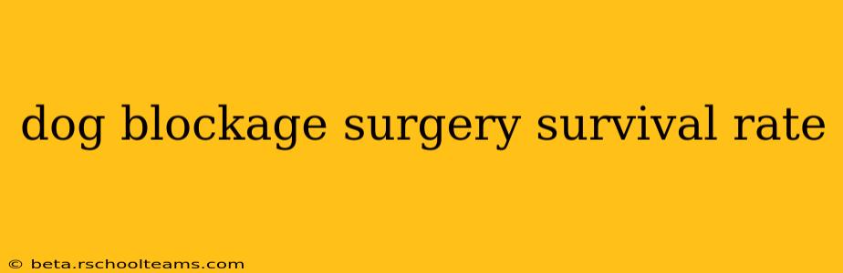 dog blockage surgery survival rate