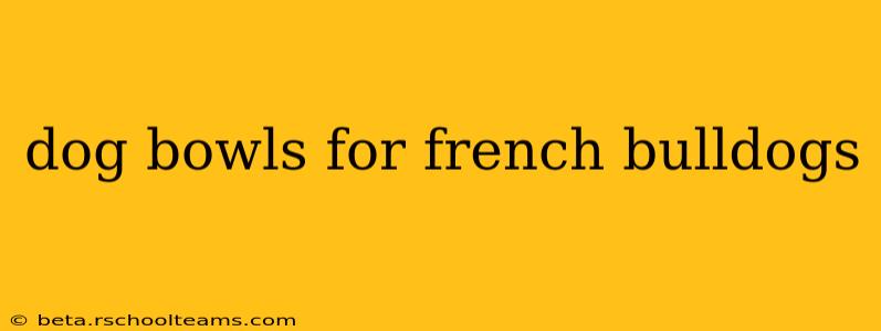 dog bowls for french bulldogs