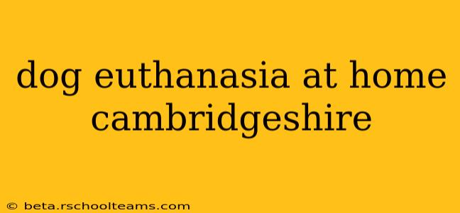 dog euthanasia at home cambridgeshire